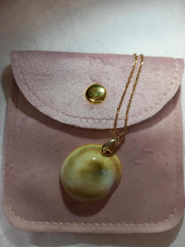 Oeil de Shiva "sainte Lucie"