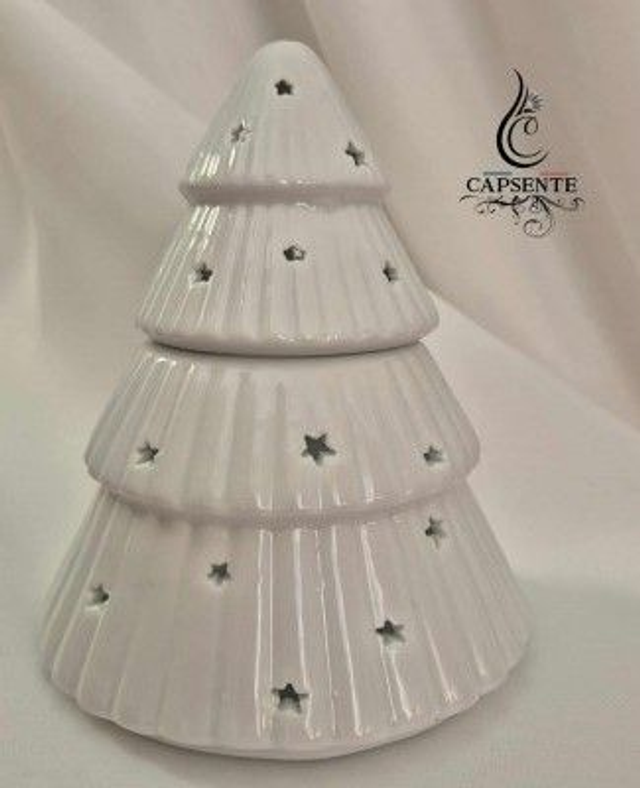 Brûleur Sapin blanc