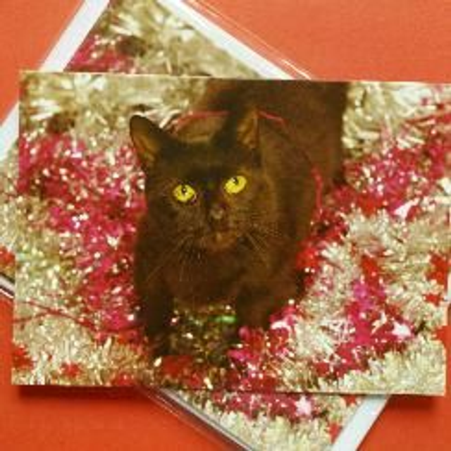 Christmas cards "Cadbury" 