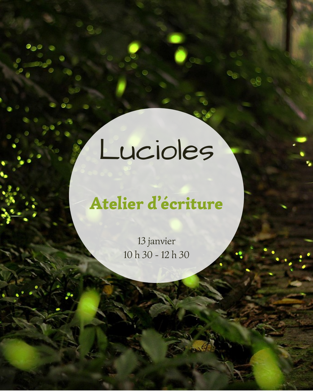 Lucioles - 13 janvier - 10 h 30-12 h 30