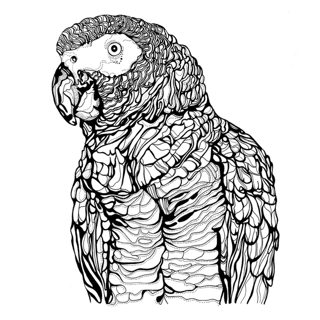 B&W A3 print - parrot