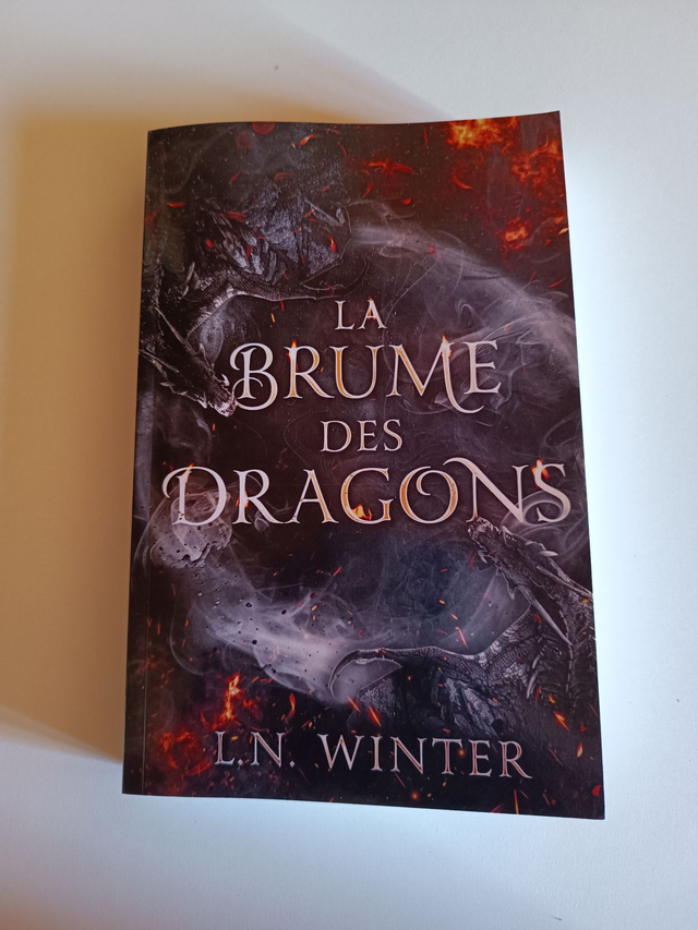 La brume des dragons - broché d'occasion