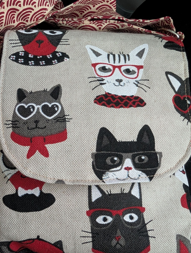 Sacoche Bandoulière "Chats à Lunettes" – Toile Canvas &amp; Vagues Rouges