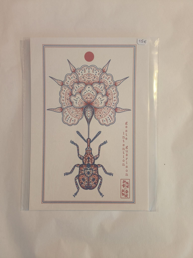 A5 scarabée pivoine