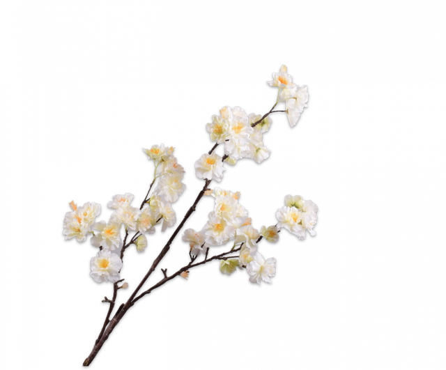 Silk-Ka Bloesem Tak Wit 
