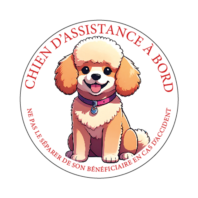 Stickers chien d'assistance Caniche