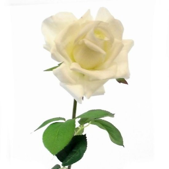 Real Touch Large Open Rose