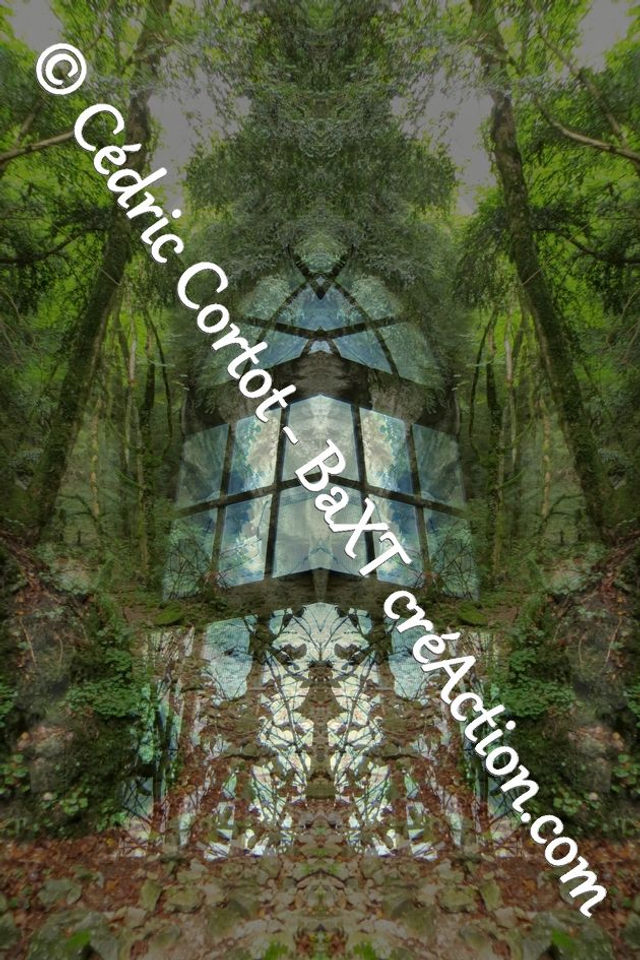 Impression sur alu dibond - Entre réel et irréel (ref 3685 1-3 -IMG_3752 2-3 R)