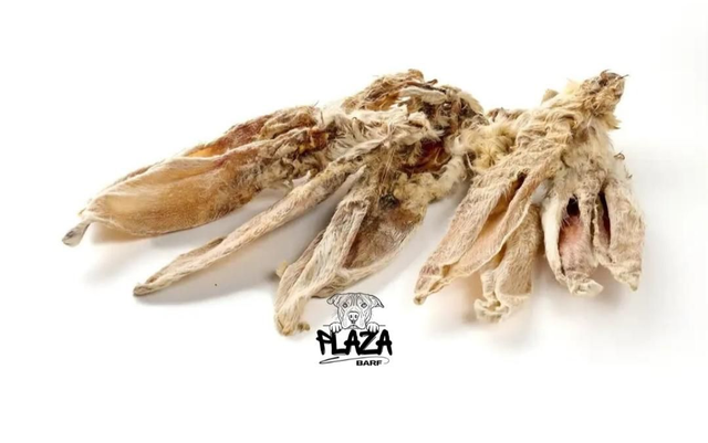 Orecchie di coniglio con pelo