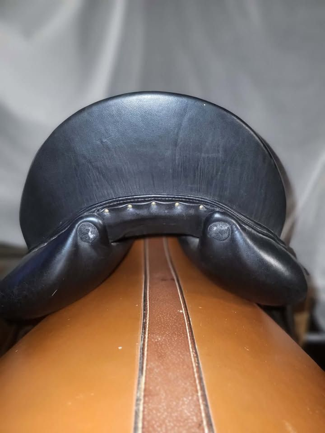 selle de dressage AULION - 17'5 - 2019