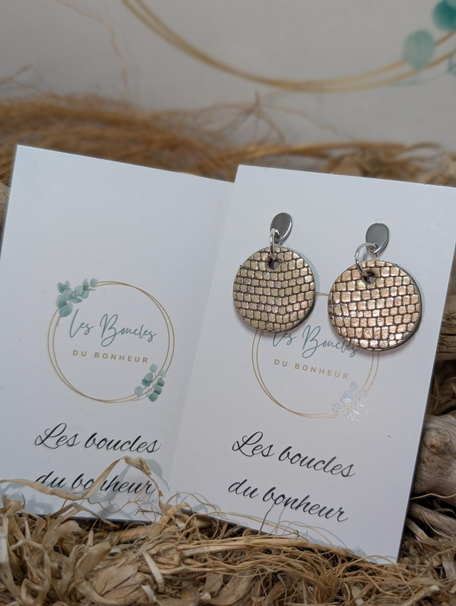 Boucles d&#039;oreilles Anti Gaspi doré ag158