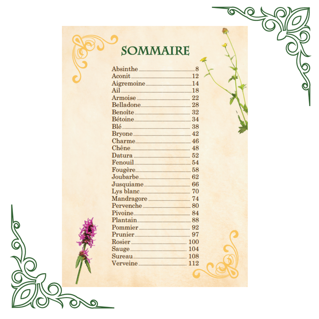 Plantes magiques du Moyen Âge