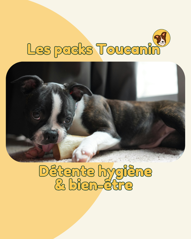 Pack "PLAISIR ET LONGÉVITÉ" mastication