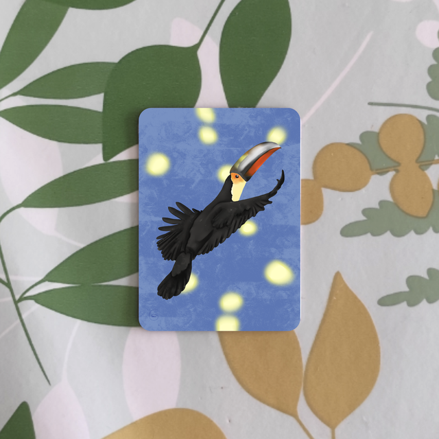 Oiseaux