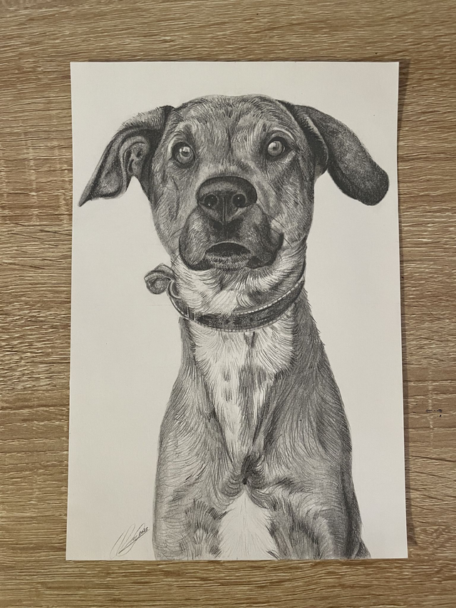 ♡ Portrait A4 noir et blanc