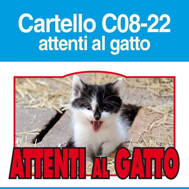 Attenti al Gatto C08-22