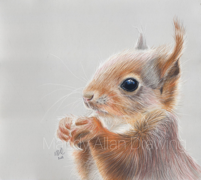 &quot;Little Red- Woodland Treasure&quot;- Squirrel Print