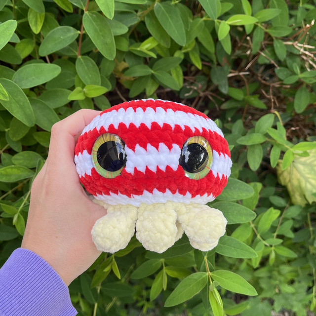 Poulpe et bébés poulpes 