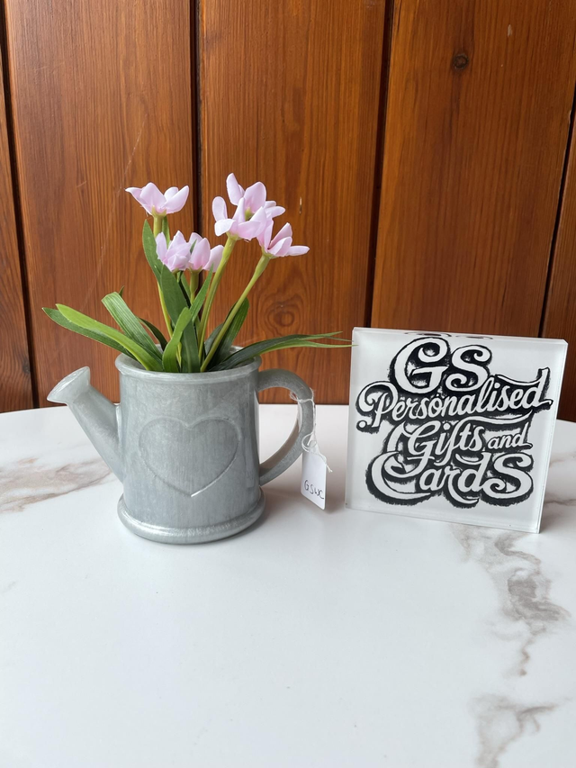 Resin watering can