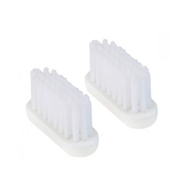 Tête de Brosse à Dents en Vrac