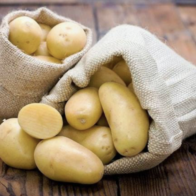 Pomme de terre Charlotte 