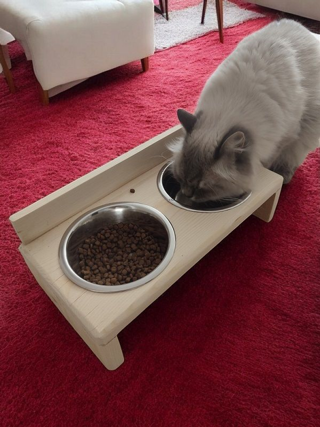 Stojak na Miski dla Psa i Kota