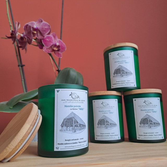 Bougie à la Menthe poivrée Milly-la-Forêt 