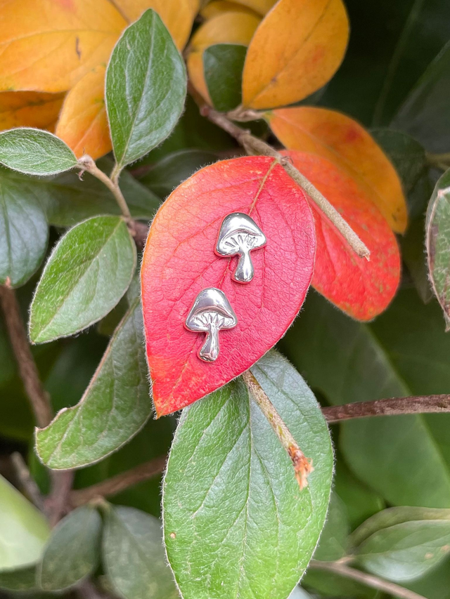 🍁 Puces Champignon