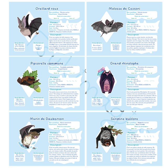 Print - Fiches espèces françaises