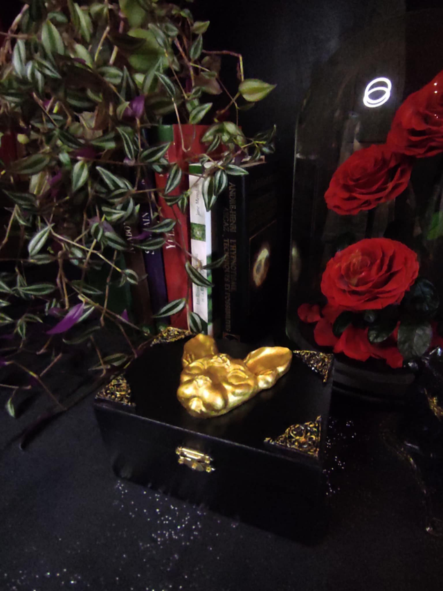 Boite &quot;Gardien Félin&quot;