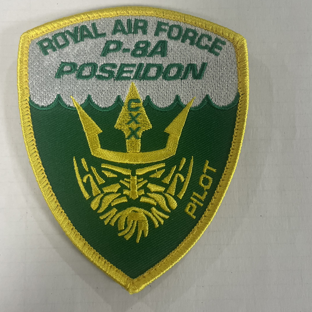 120 SQN Pilot Shield