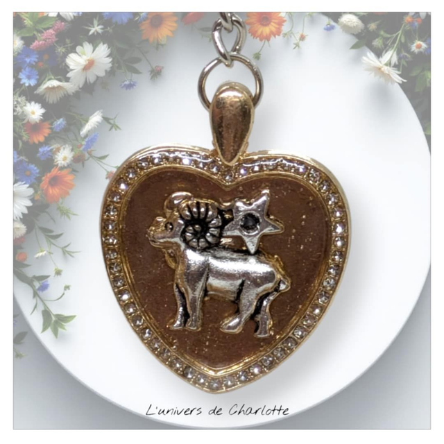 Porte-clés "Zodiaque" coeur