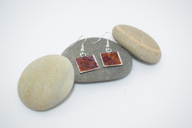 Boucles d'oreilles faisan commun