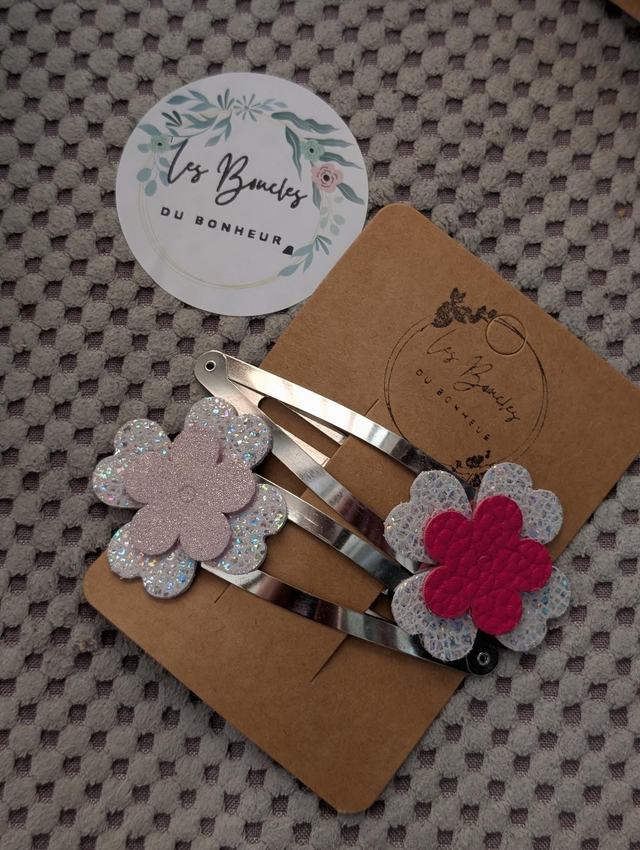 Barrette b031