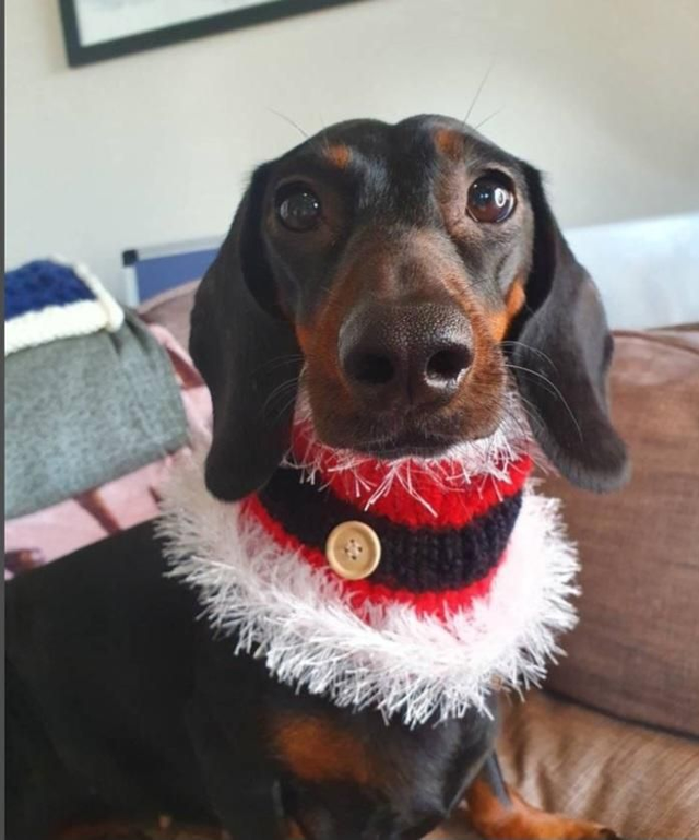 Santa scarves and snoods