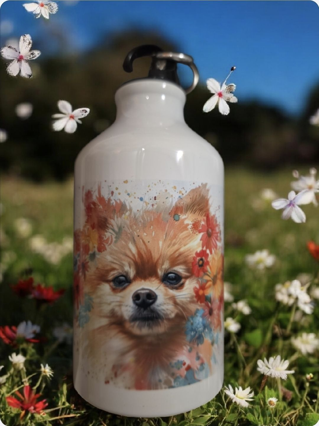 Gourde personnalisée en acier inoxydable "Le printemps de Louping "