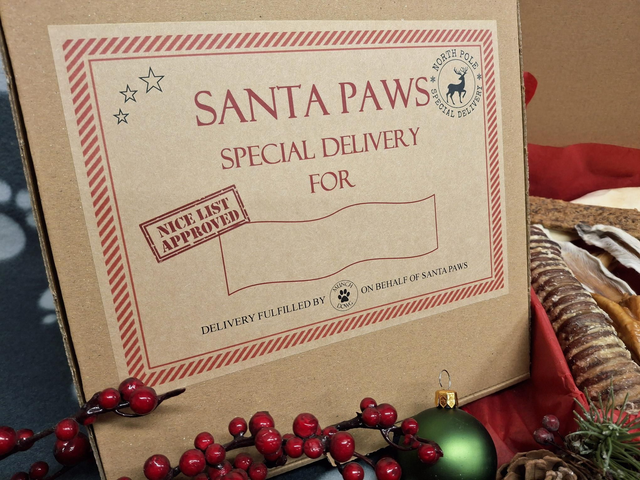 Christmas Treat Box - Natural Treats