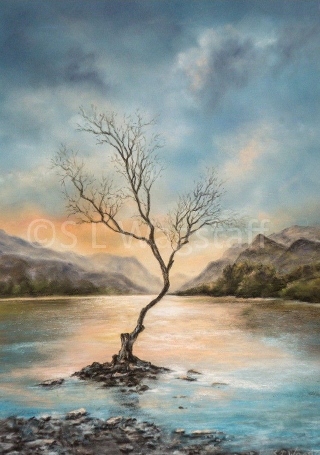 The Lonely Tree - Llyn Padarn