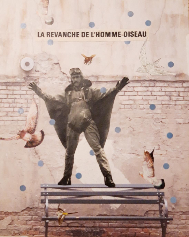 L'homme Oiseau