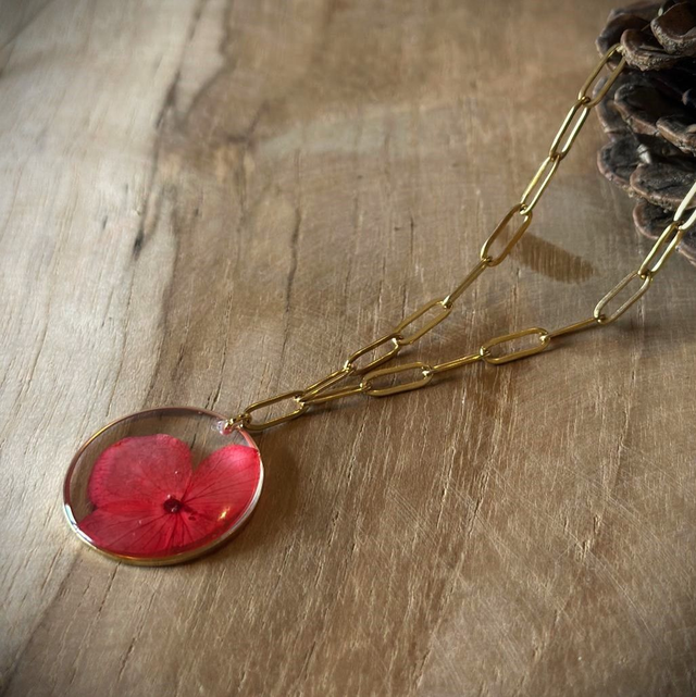 Celia - Hortensia rouge 