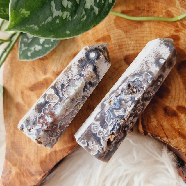 Crazy Lace Agate Point 