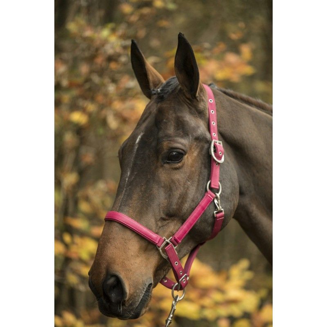 LICOL LAMI-CELL "LC"