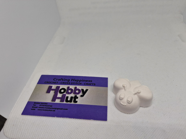 Paint-Your-Own Flying Ladybird