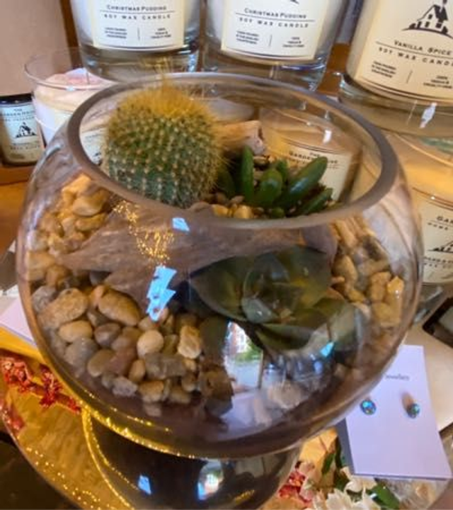 Terrarium, small