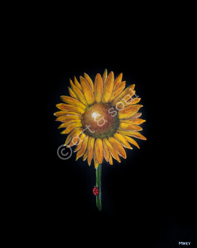 7"x5" Print only - special offer