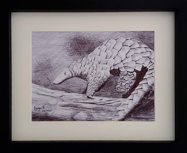 Pangolin