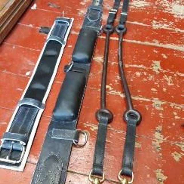 Purcell Chrome Leather Breaking Harness