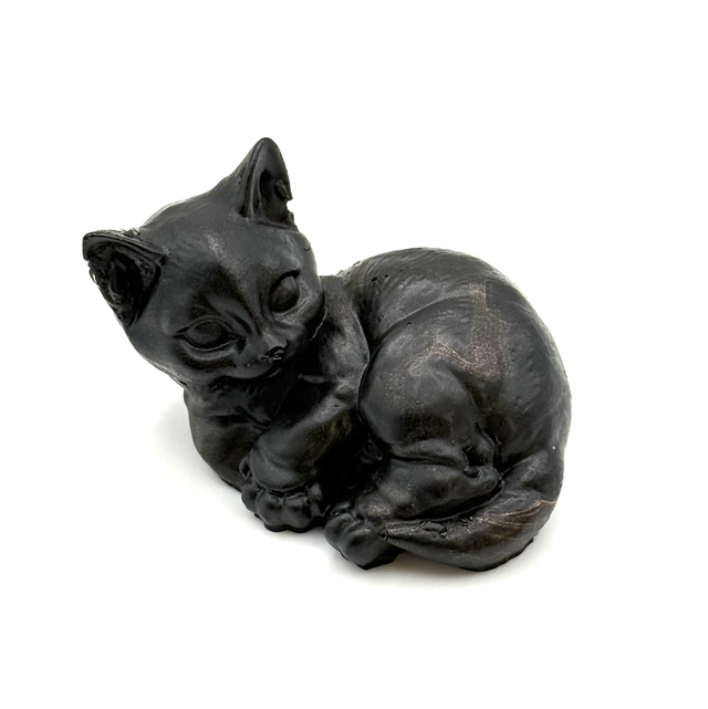 Chat ton brun/noir et nuances de cuivré