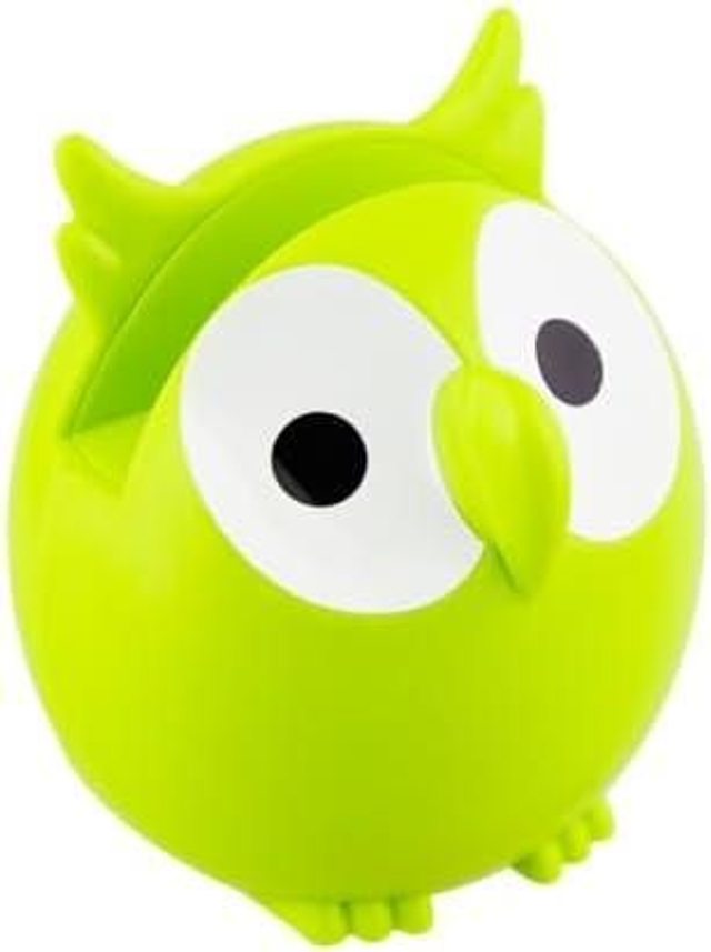 Pylones Steel and Plastic Green Owl Wall Hangings Glasses Holder