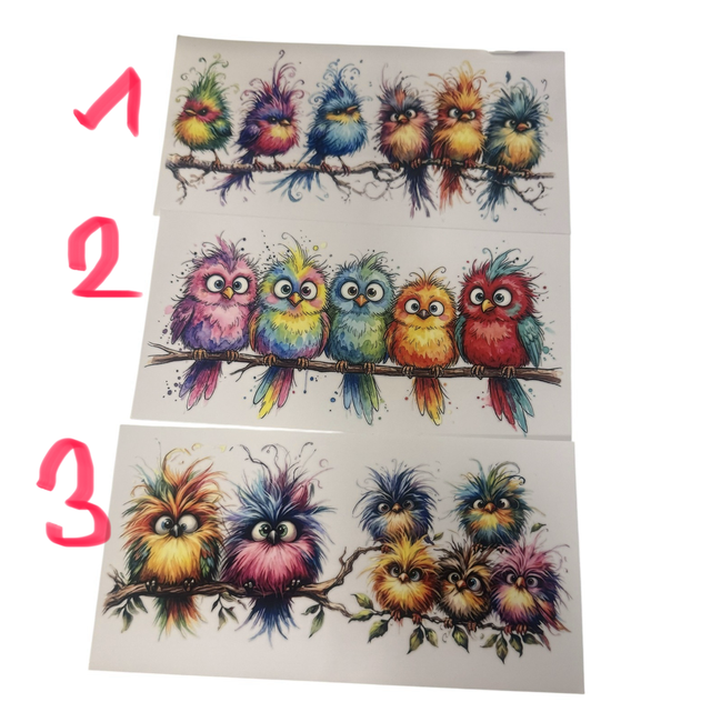 Folie lustige Vögel